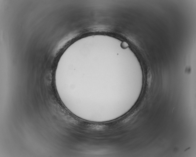 X0000114621309200911171049