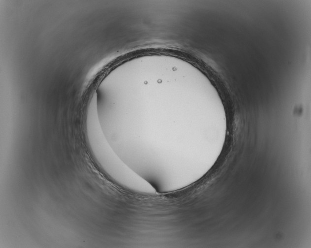 X0000114621310200911171049
