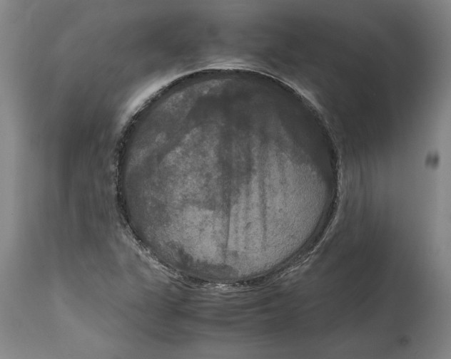 X0000114621311200911171049