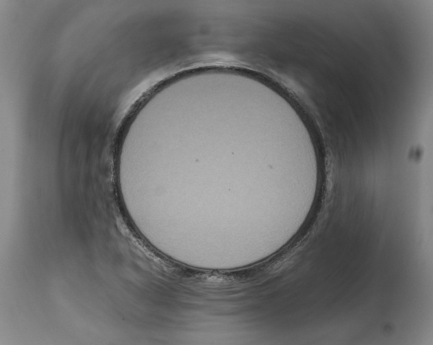 X0000114621318200911171049