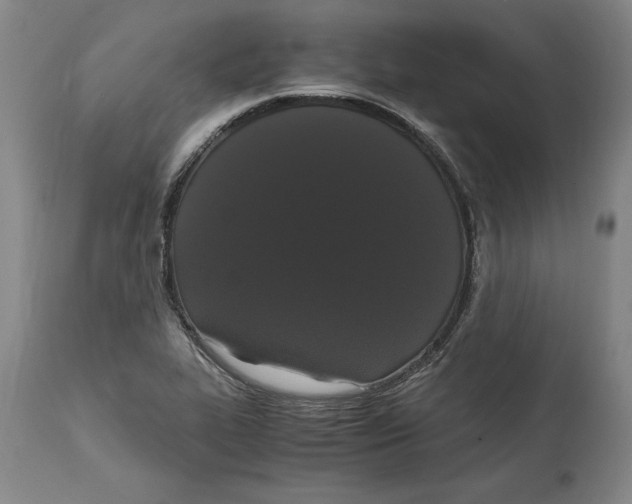 X0000114621319200911171049