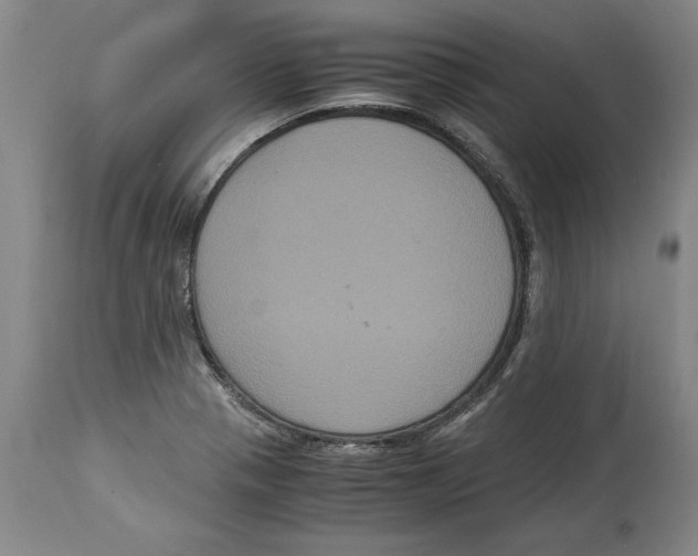 X0000114621321200911171049