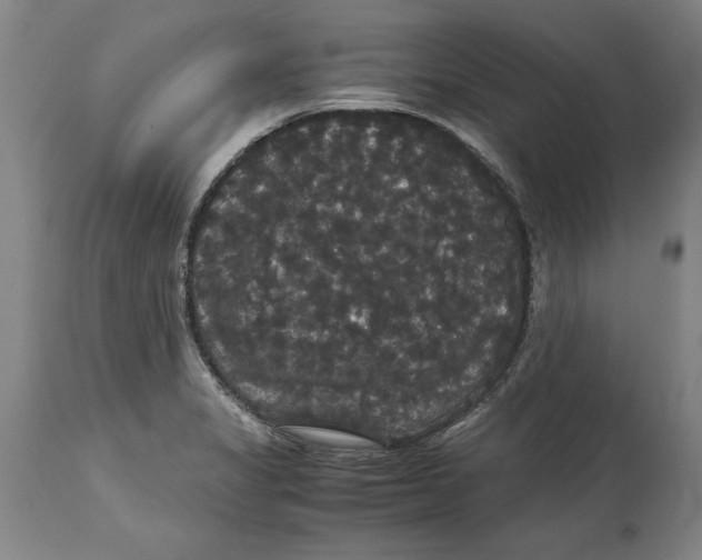 X0000114621325200911171049