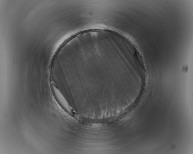 X0000114621326200911171049