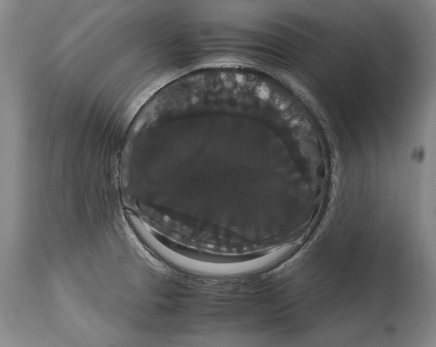 X0000114621329200911171049