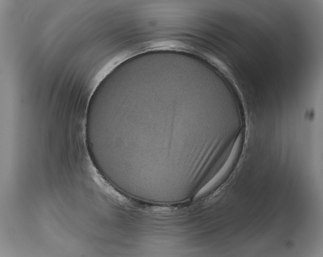 X0000114621330200911171049