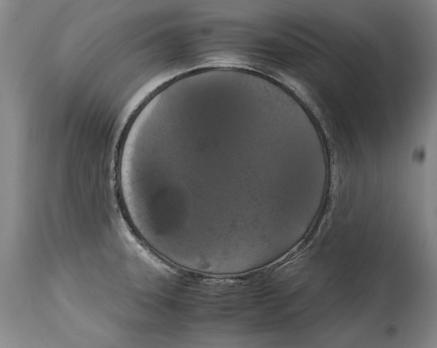 X0000114621331200911171049