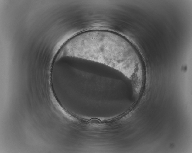 X0000114621333200911171049