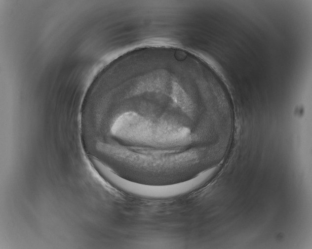 X0000114621335200911171049
