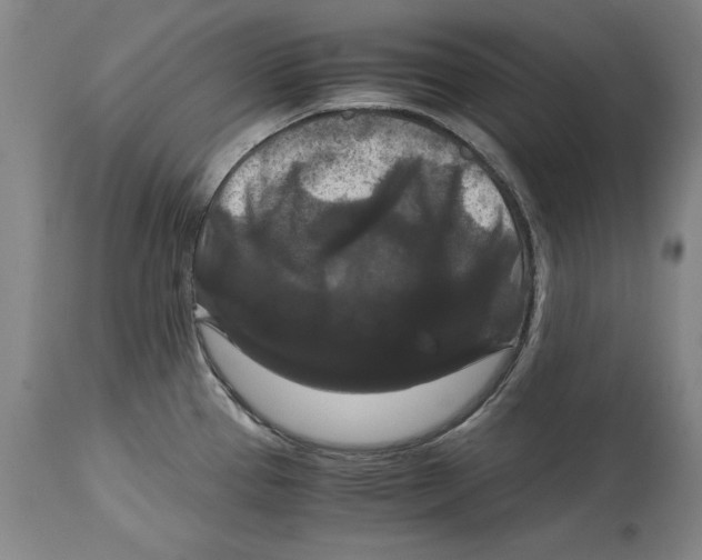 X0000114621337200911171049