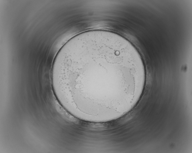 X0000114621338200911171049