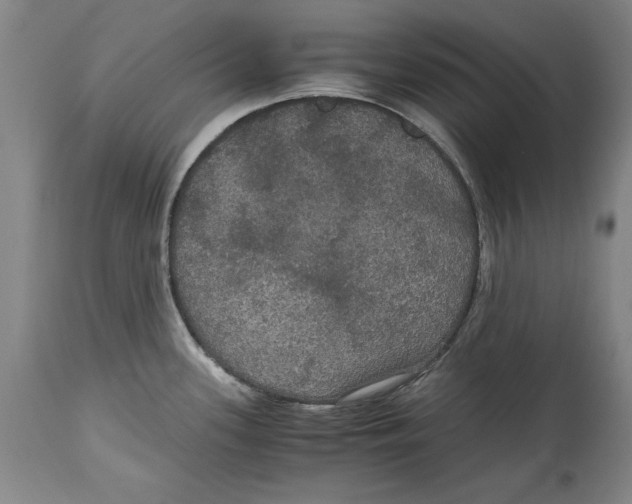 X0000114621339200911171049