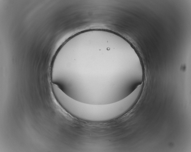 X0000114621342200911171049