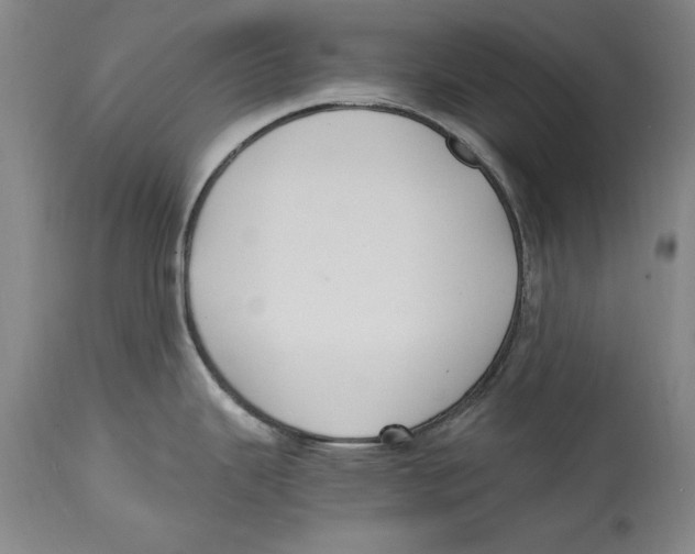 X0000114621343200911171049
