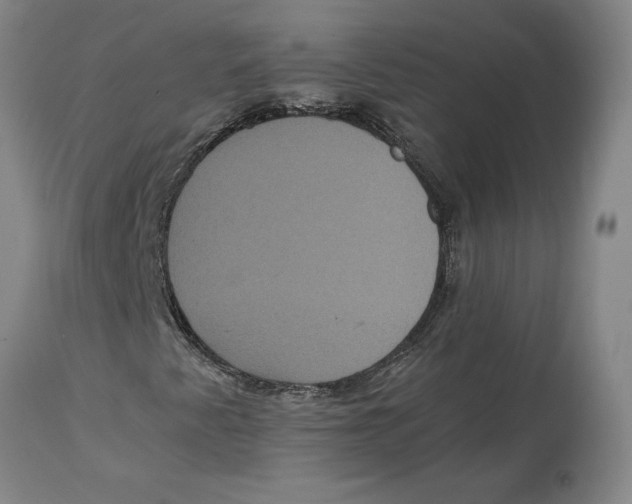 X0000114621345200911171048