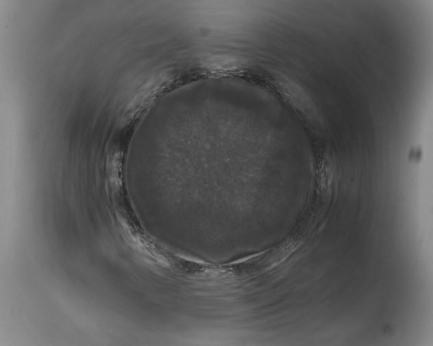 X0000114621346200911171048