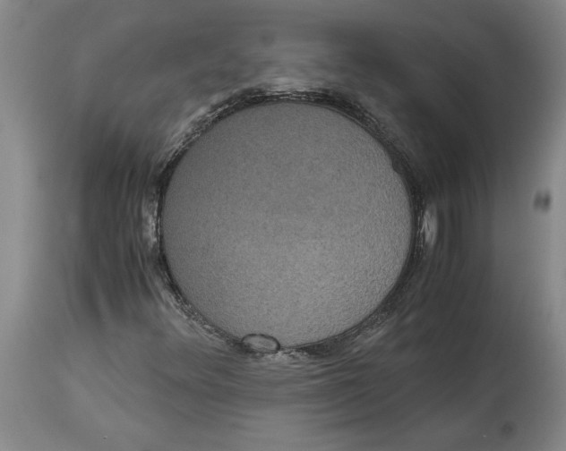 X0000114621348200911171048