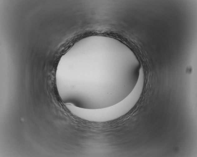 X0000114621349200911171048