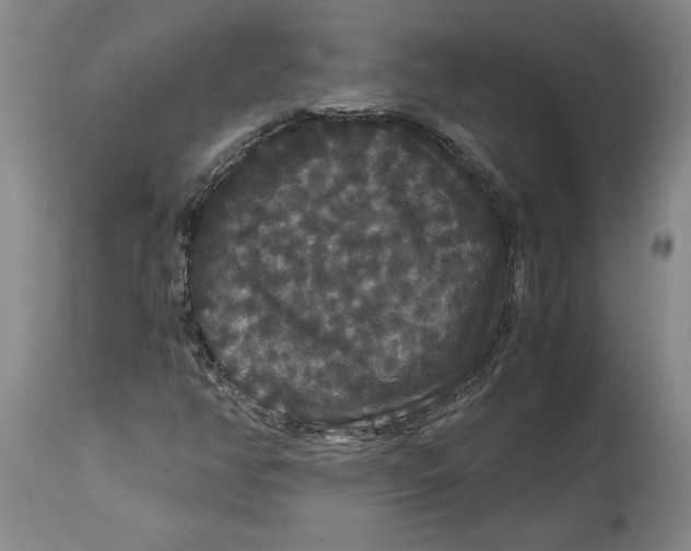 X0000114621350200911171048