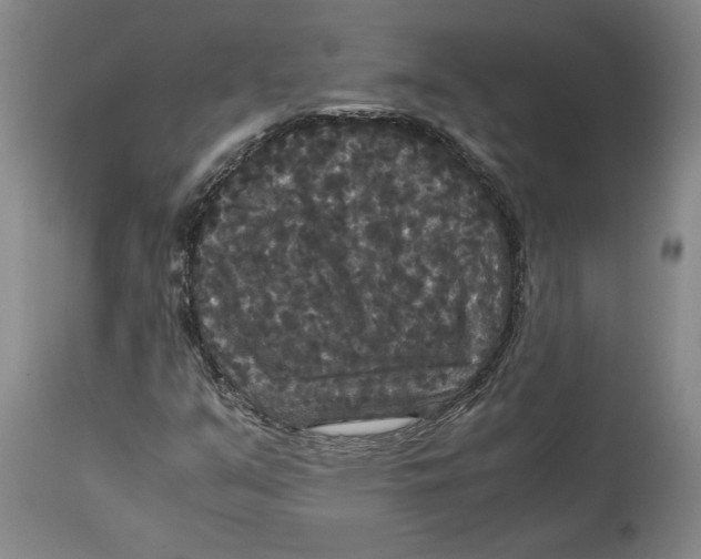 X0000114621351200911171048