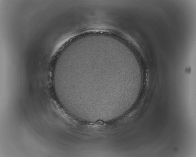 X0000114621352200911171048