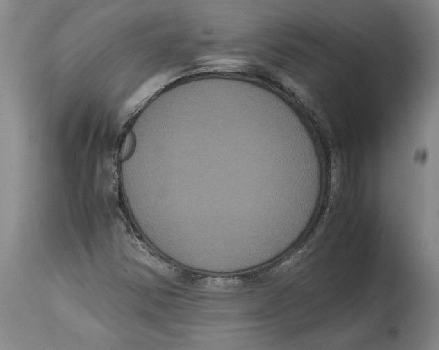X0000114621354200911171048