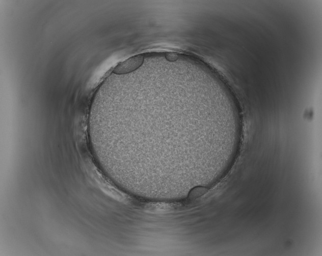 X0000114621355200911171048