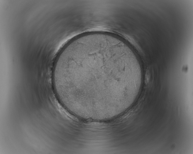 X0000114621356200911171048
