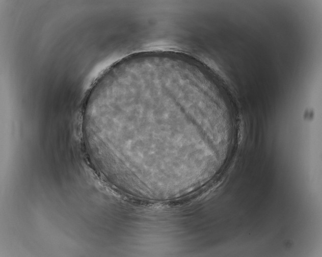 X0000114621358200911171048