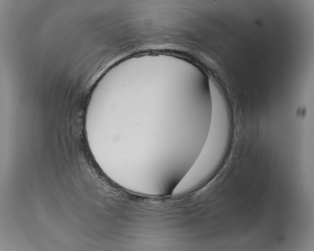 X0000114621361200911171048