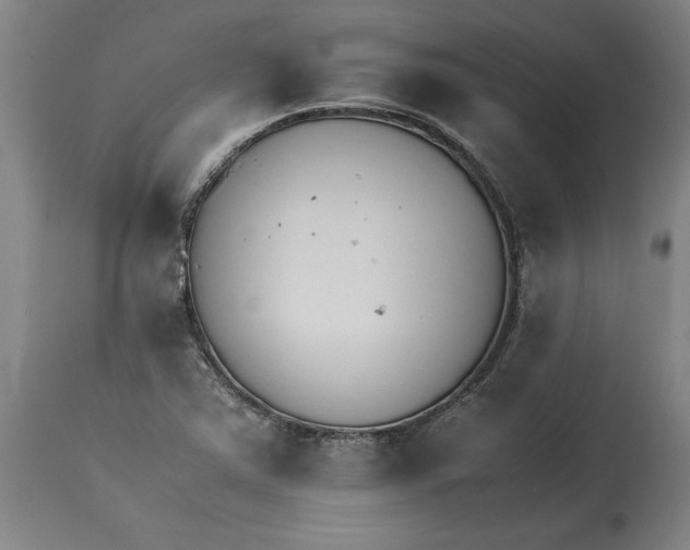 X0000114621363200911171048