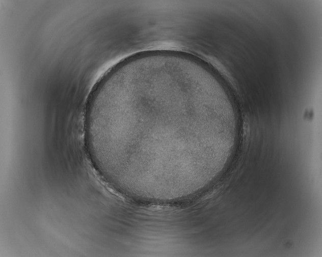 X0000114621364200911171048