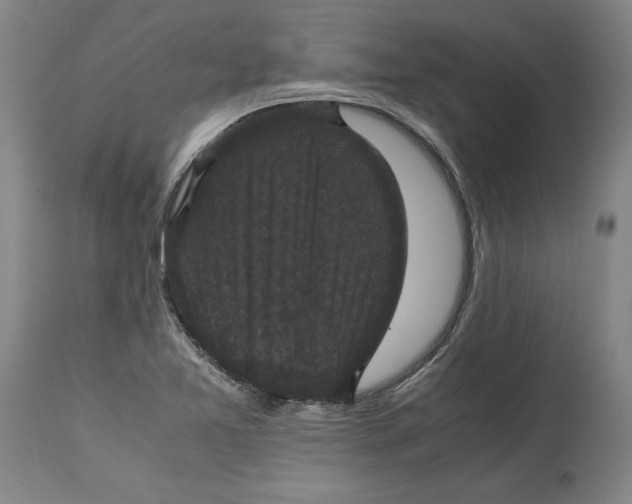 X0000114621365200911171048