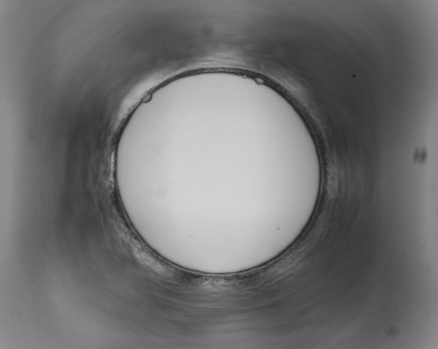 X0000114621366200911171048