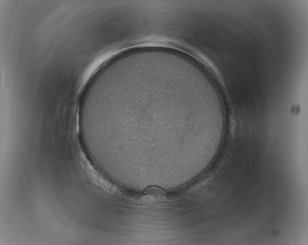 X0000114621368200911171048