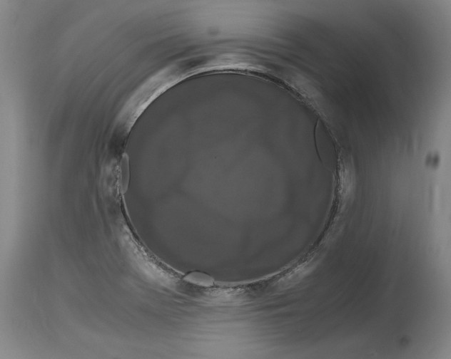 X0000114621369200911171048