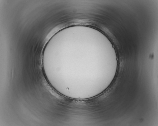 X0000114621370200911171048