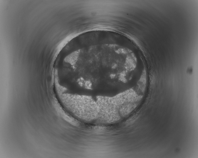 X0000114621371200911171048