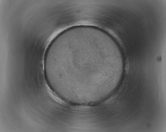 X0000114621372200911171048