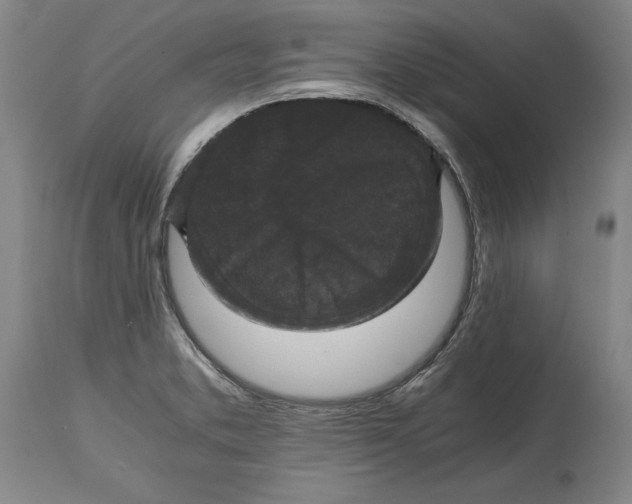 X0000114621373200911171048