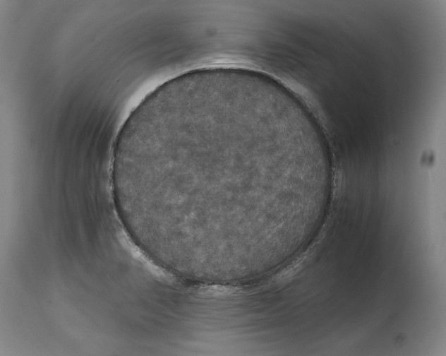 X0000114621374200911171048
