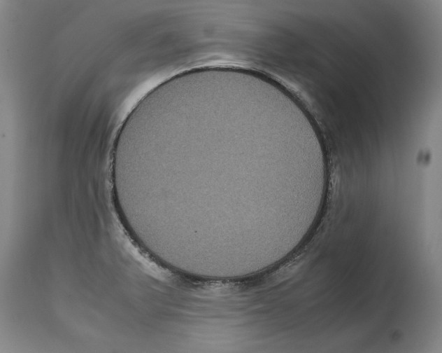 X0000114621375200911171048