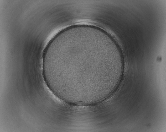 X0000114621376200911171048