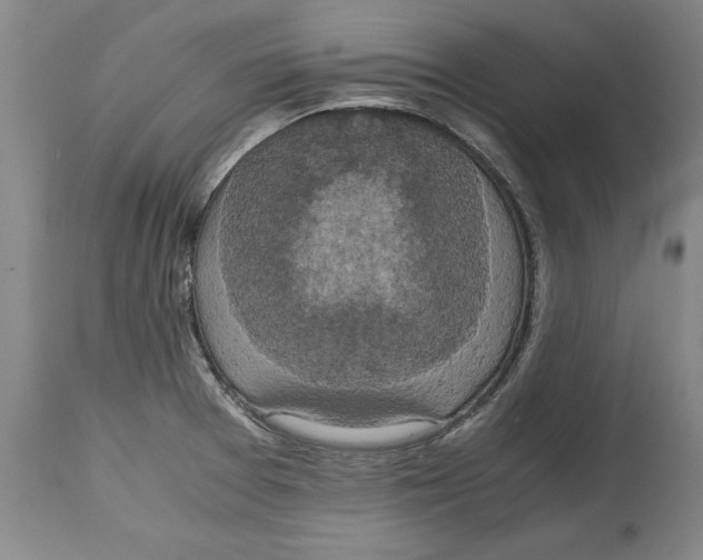 X0000114621377200911171048