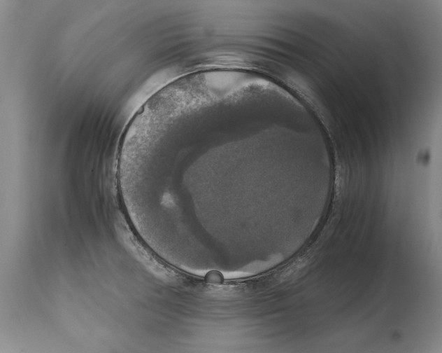 X0000114621378200911171048