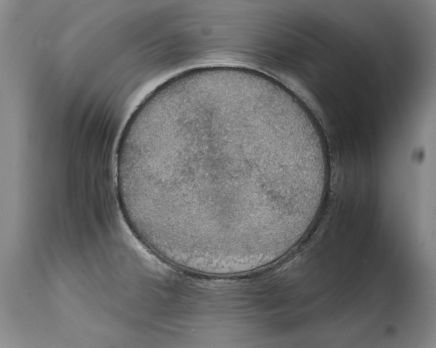 X0000114621380200911171048