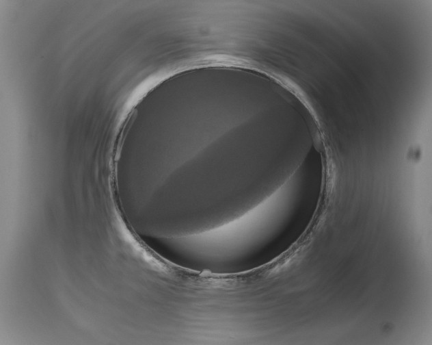X0000114621381200911171048