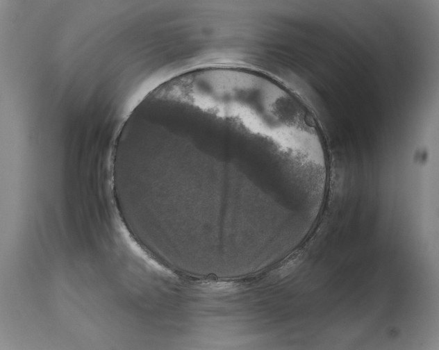 X0000114621382200911171048