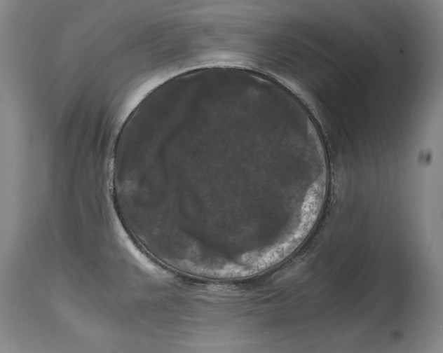 X0000114621383200911171048