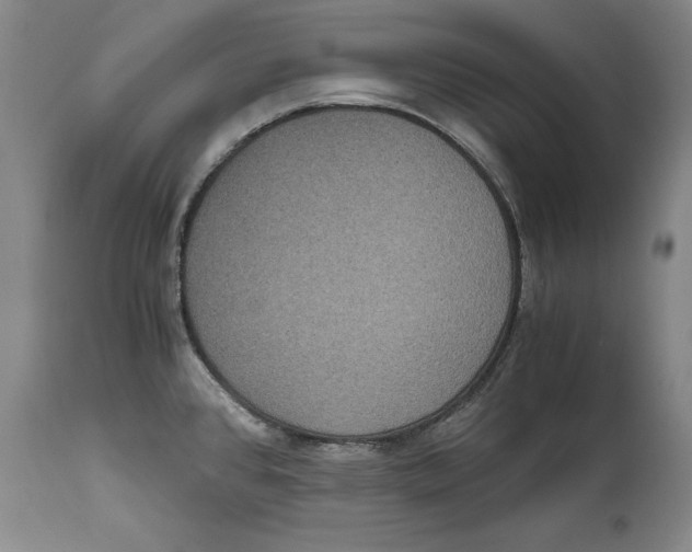 X0000114621384200911171048